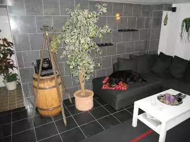 Relax 7